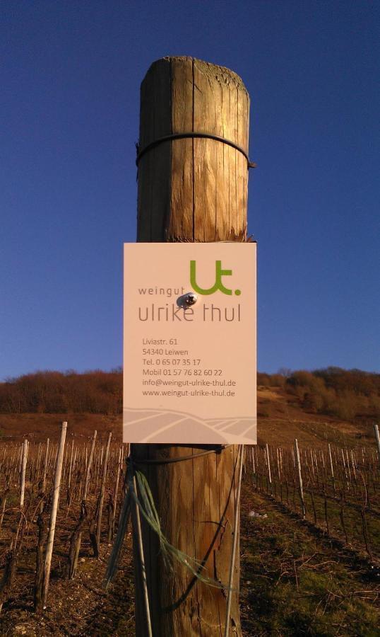 Ferienweingut Ulrike Thul Leilighet Leiwen Eksteriør bilde